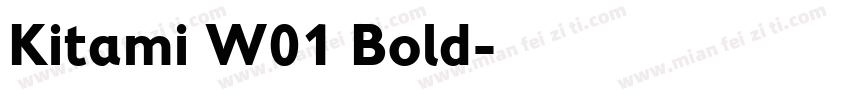 Kitami W01 Bold字体转换